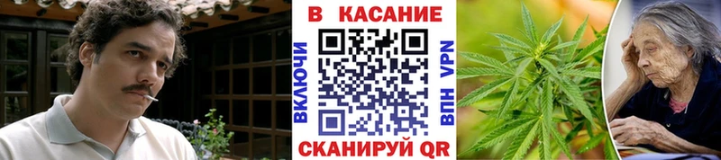 Какие есть наркотики Будённовск Галлюциногенные грибы  ГАШИШ  Бутират  A-PVP 