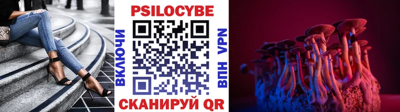 Псилоцибиновые грибы Psilocybine cubensis купить наркотики сайты Будённовск