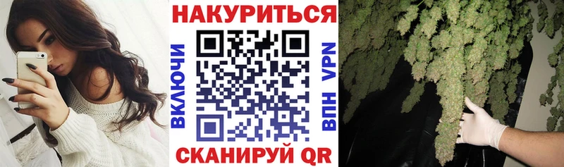 Бошки марихуана конопля Будённовск